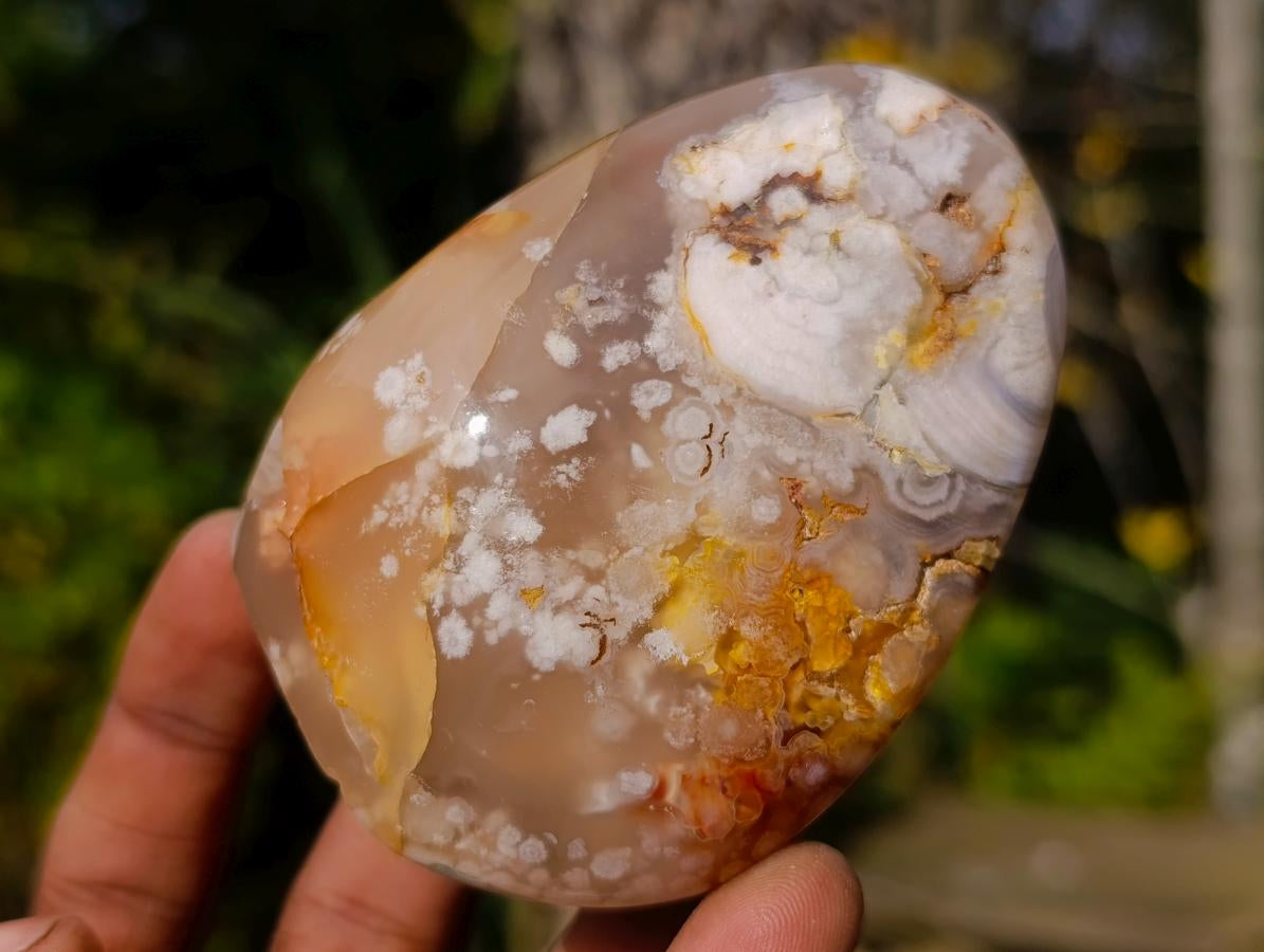 Polished Flower Agate Standing Display Pieces x 12 From Antsahalova, Madagascar - Toprock Gemstones and Minerals 
