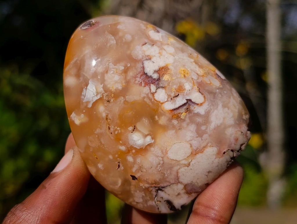 Polished Flower Agate Standing Display Pieces x 12 From Antsahalova, Madagascar - Toprock Gemstones and Minerals 