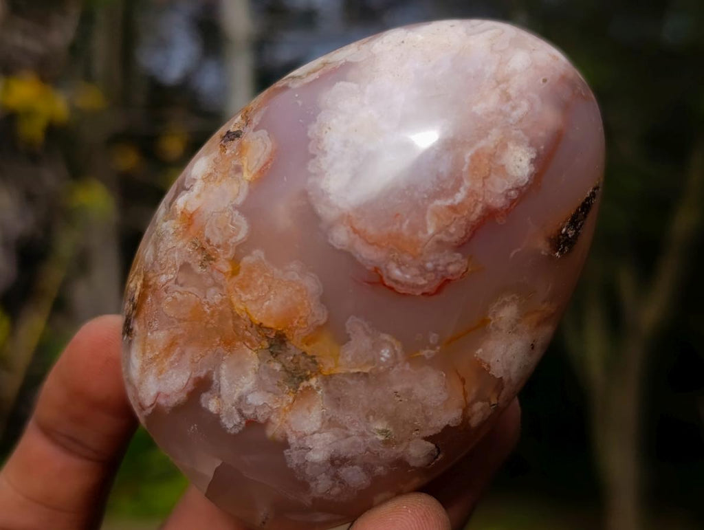 Polished Flower Agate Standing Display Pieces x 12 From Antsahalova, Madagascar - Toprock Gemstones and Minerals 