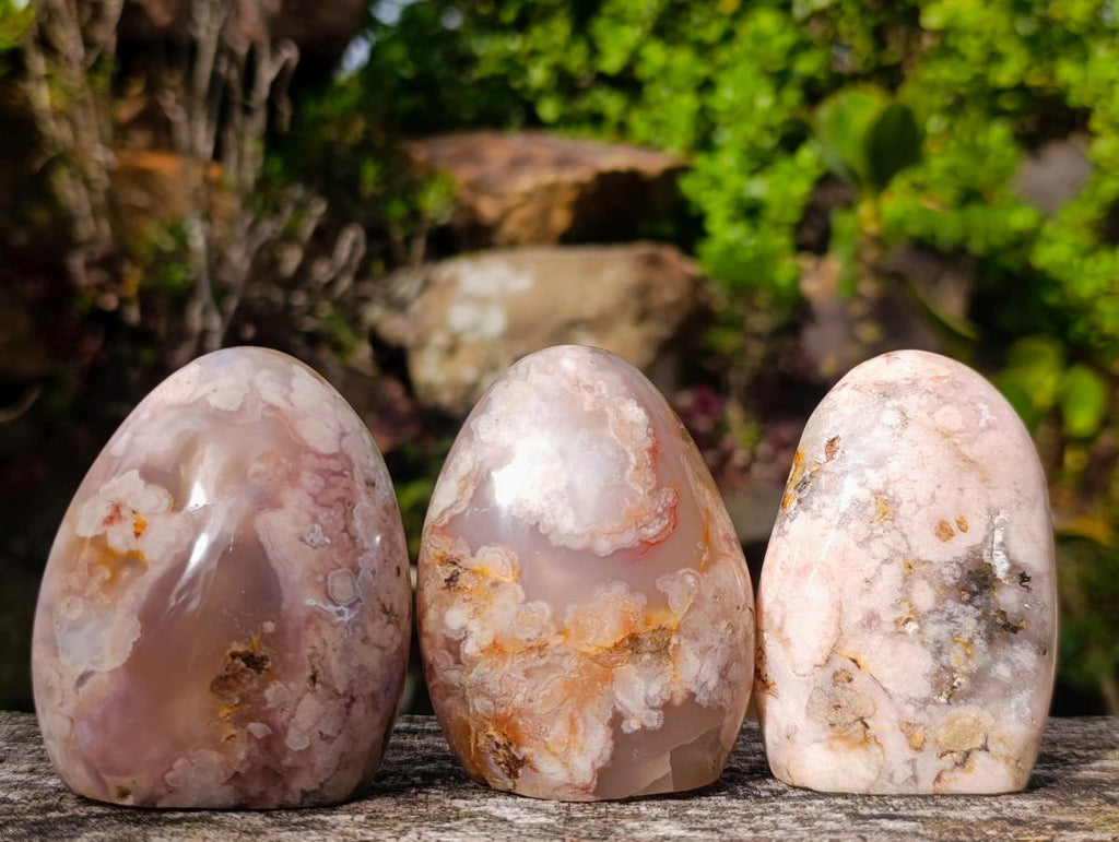 Polished Flower Agate Standing Display Pieces x 12 From Antsahalova, Madagascar - Toprock Gemstones and Minerals 