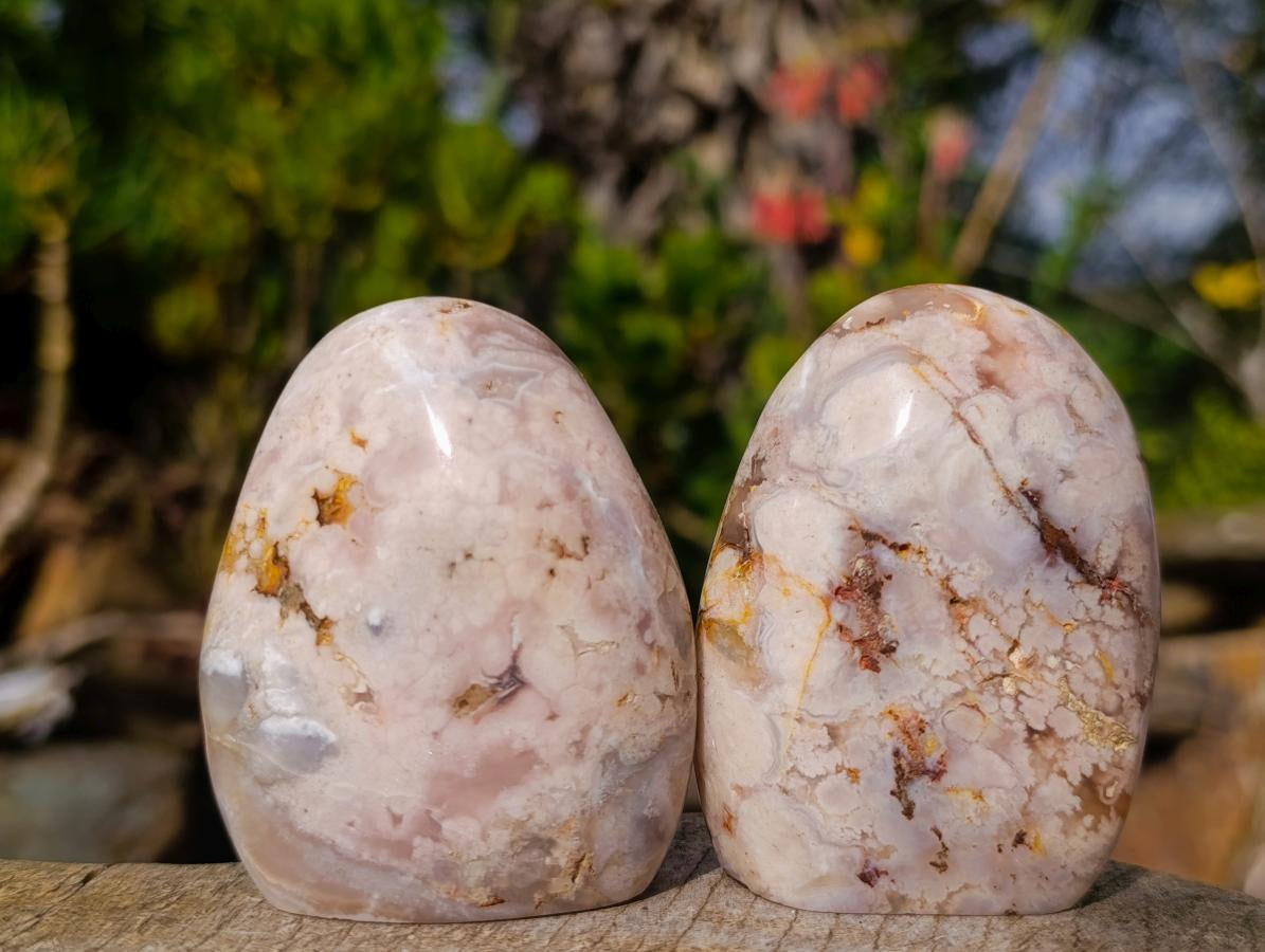 Polished Flower Agate Standing Display Pieces x 12 From Antsahalova, Madagascar - Toprock Gemstones and Minerals 