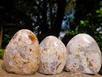 Polished Flower Agate Standing Display Pieces x 12 From Antsahalova, Madagascar - Toprock Gemstones and Minerals 