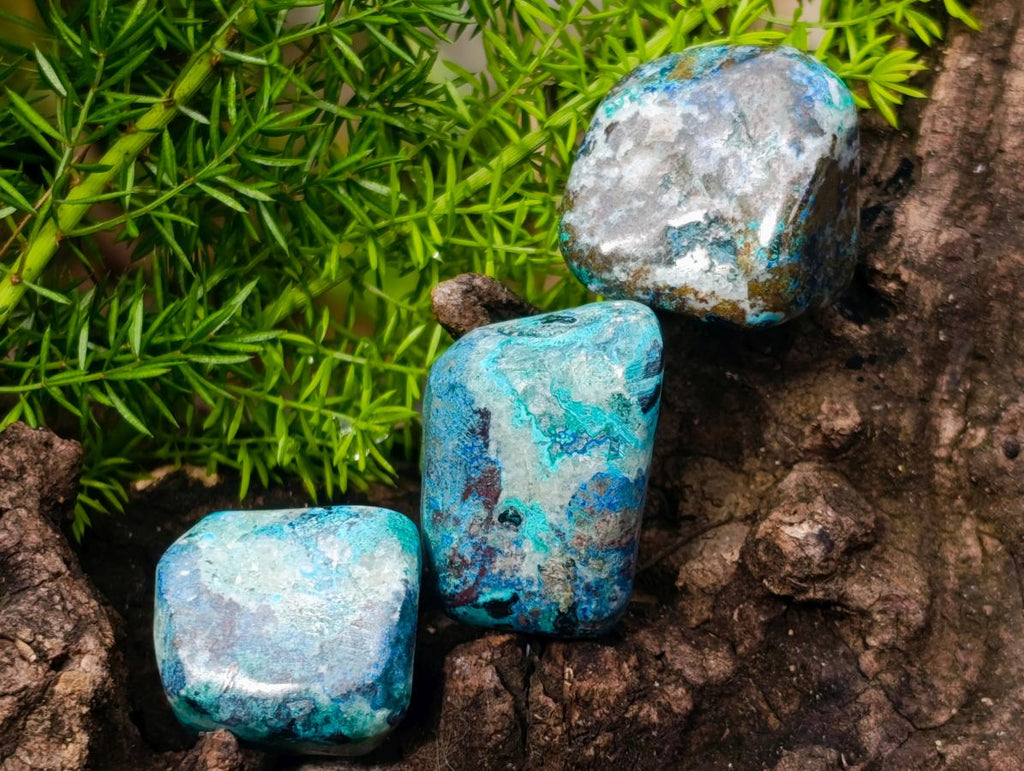 Polished Shattuckite Free Forms x 35 From Congo - Toprock Gemstones and Minerals 