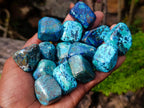 Polished Shattuckite Free Forms x 35 From Congo - Toprock Gemstones and Minerals 
