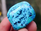 Polished Shattuckite Free Forms x 35 From Congo - Toprock Gemstones and Minerals 