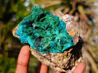Natural Cabinet Dioptase on Dolomite Specimens x 2 From Likasi, Congo - Toprock Gemstones and Minerals 