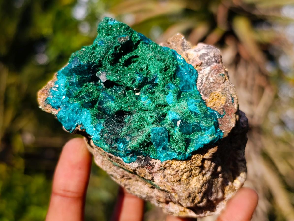 Natural Cabinet Dioptase on Dolomite Specimens x 2 From Likasi, Congo - Toprock Gemstones and Minerals 