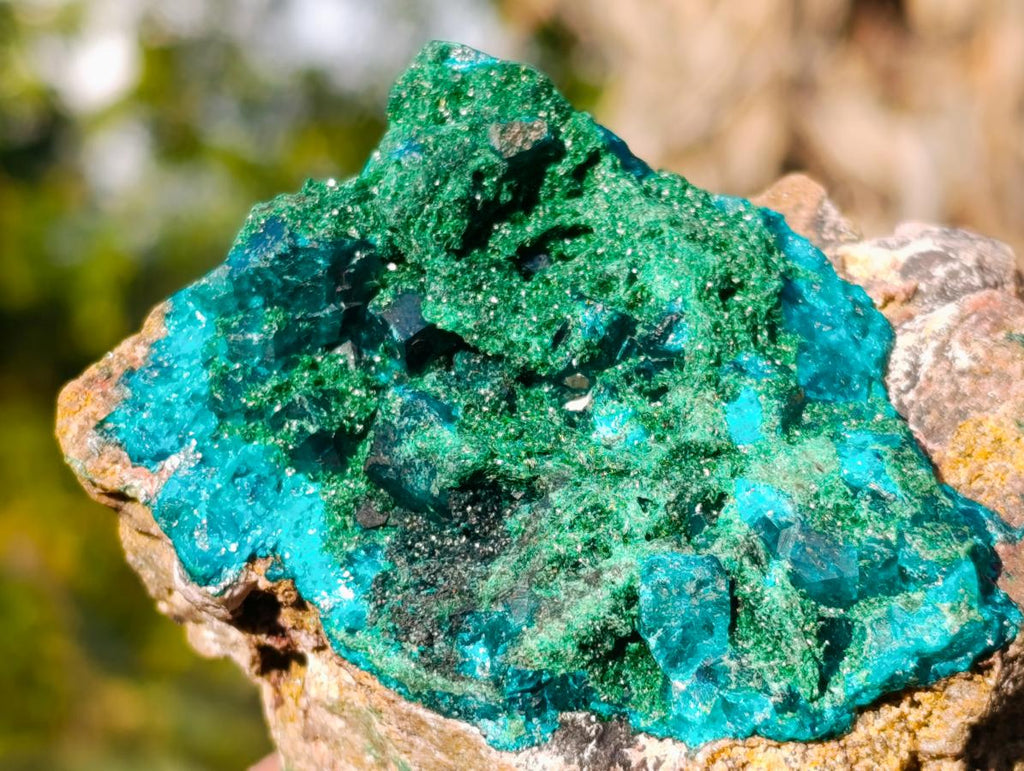 Natural Cabinet Dioptase on Dolomite Specimens x 2 From Likasi, Congo - Toprock Gemstones and Minerals 