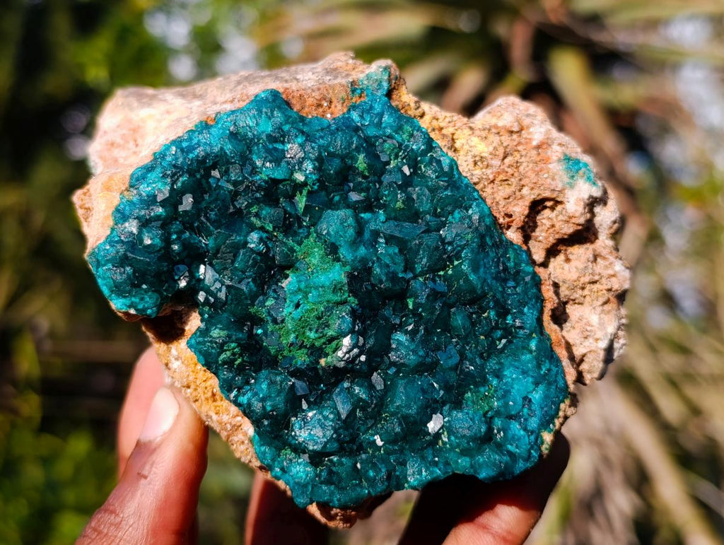 Natural Cabinet Dioptase on Dolomite Specimens x 2 From Likasi, Congo - Toprock Gemstones and Minerals 
