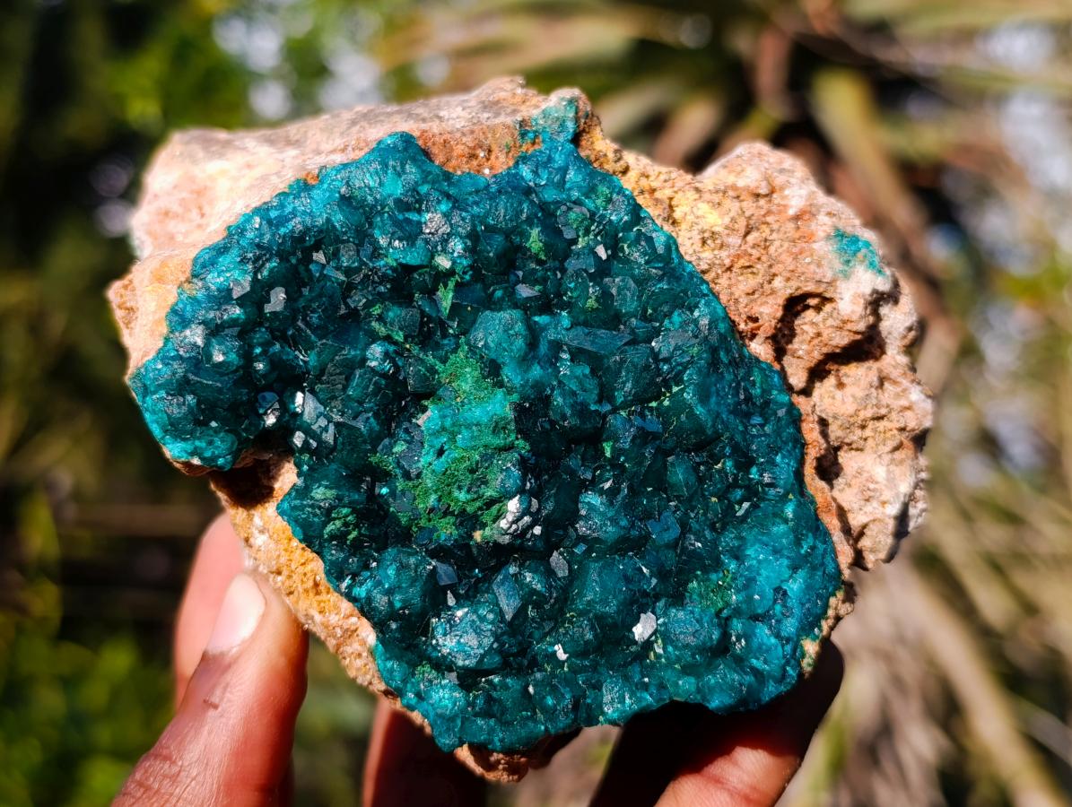 Natural Cabinet Dioptase on Dolomite Specimens x 2 From Likasi, Congo - Toprock Gemstones and Minerals 