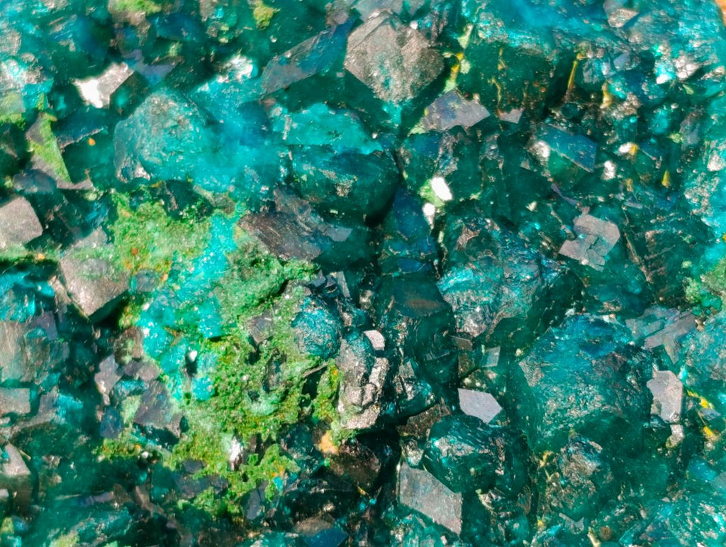 Natural Cabinet Dioptase on Dolomite Specimens x 2 From Likasi, Congo - Toprock Gemstones and Minerals 