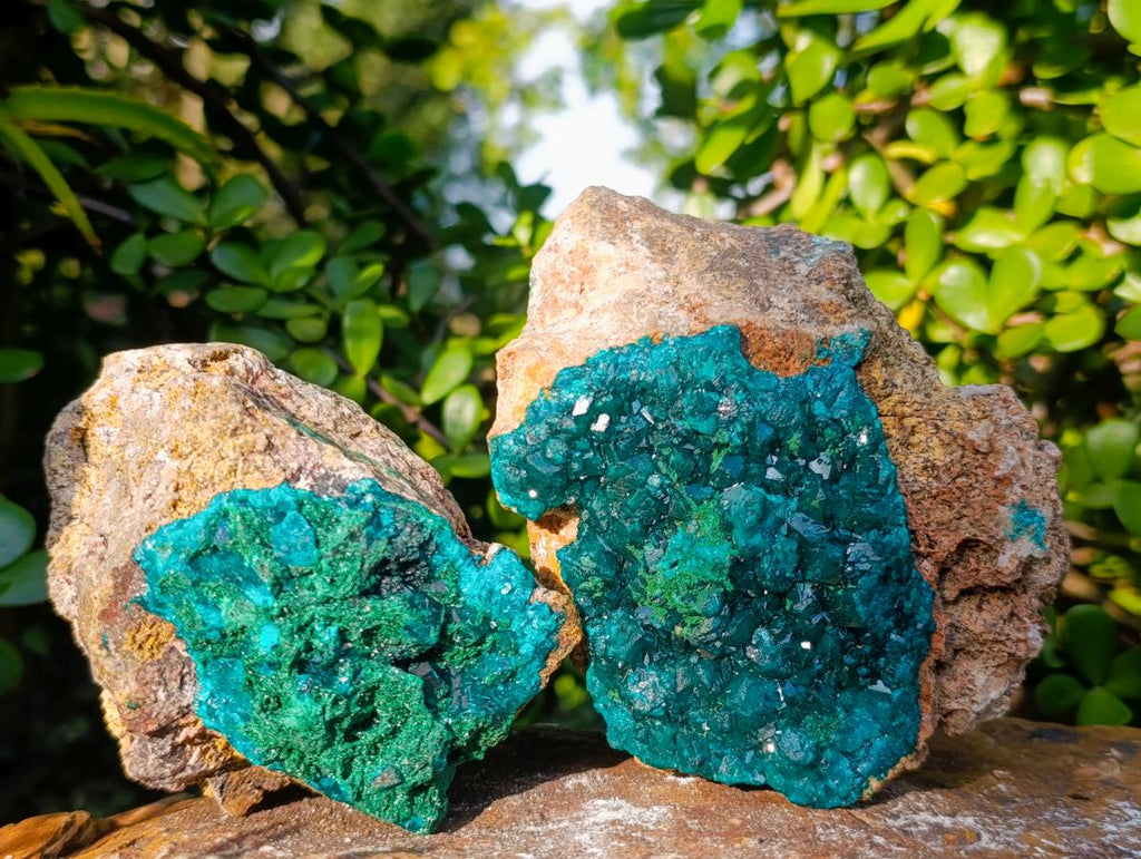 Natural Cabinet Dioptase on Dolomite Specimens x 2 From Likasi, Congo - Toprock Gemstones and Minerals 