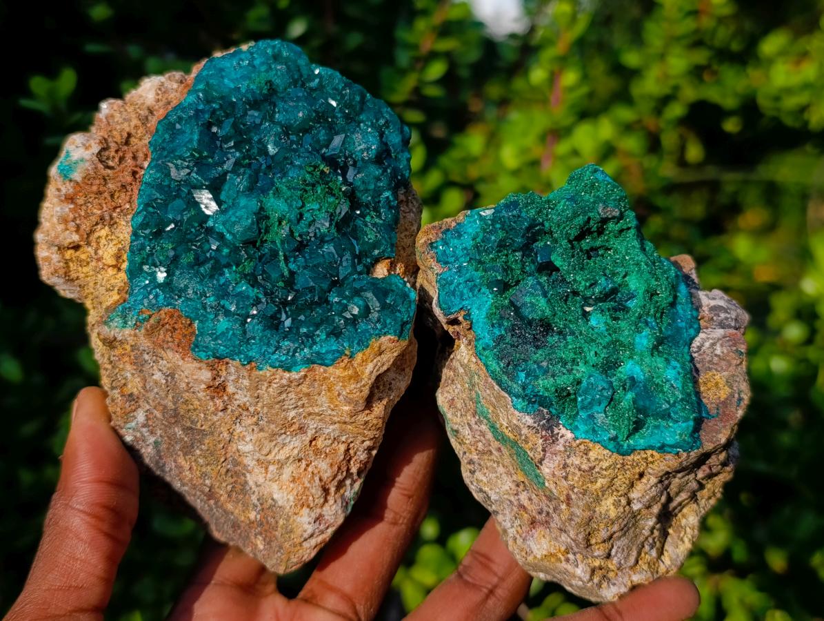 Natural Cabinet Dioptase on Dolomite Specimens x 2 From Likasi, Congo - Toprock Gemstones and Minerals 
