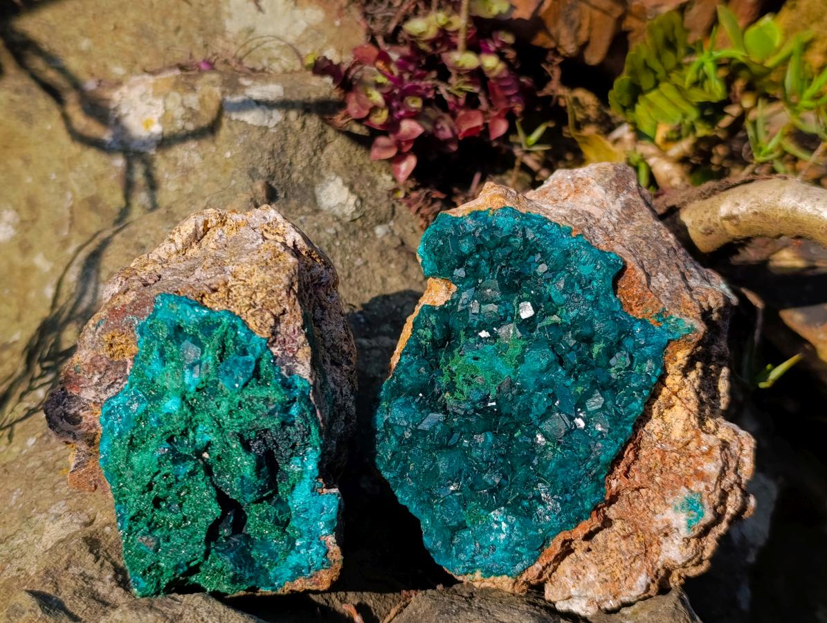 Natural Cabinet Dioptase on Dolomite Specimens x 2 From Likasi, Congo - Toprock Gemstones and Minerals 