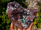 Natural Large Drusy Quartz Coated Ball Malachite on Red Dolomite Specimen x 1 From Mindingi Mine, Kambove, Congo - Toprock Gemstones and Minerals 