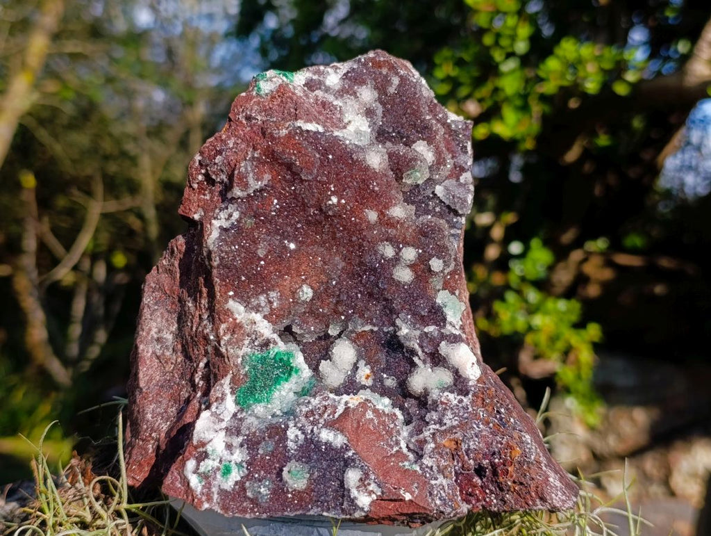 Natural Large Drusy Quartz Coated Ball Malachite on Red Dolomite Specimen x 1 From Mindingi Mine, Kambove, Congo - Toprock Gemstones and Minerals 