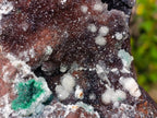 Natural Large Drusy Quartz Coated Ball Malachite on Red Dolomite Specimen x 1 From Mindingi Mine, Kambove, Congo - Toprock Gemstones and Minerals 