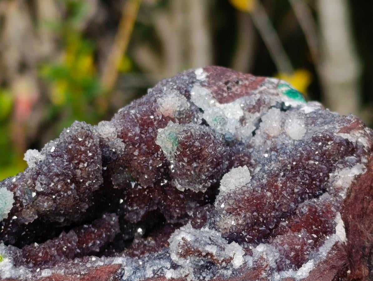 Natural Large Drusy Quartz Coated Ball Malachite on Red Dolomite Specimen x 1 From Mindingi Mine, Kambove, Congo - Toprock Gemstones and Minerals 