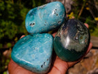 Polished Mtorolite Free Forms x 6 From Mutorashanga, Zimbabwe - Toprock Gemstones and Minerals 