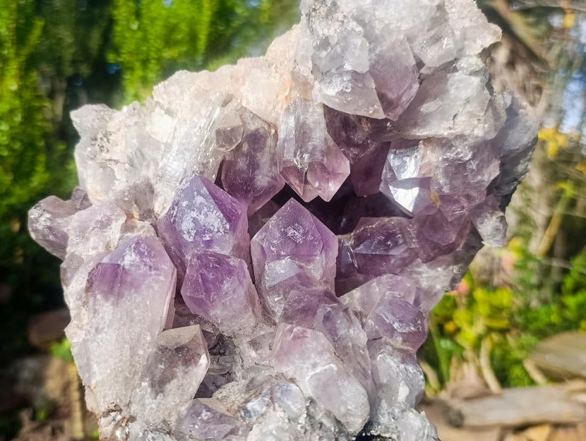 Natural Large Jacaranda Amethyst Geode x 1 From Mumbwa, Zambia - Toprock Gemstones and Minerals 