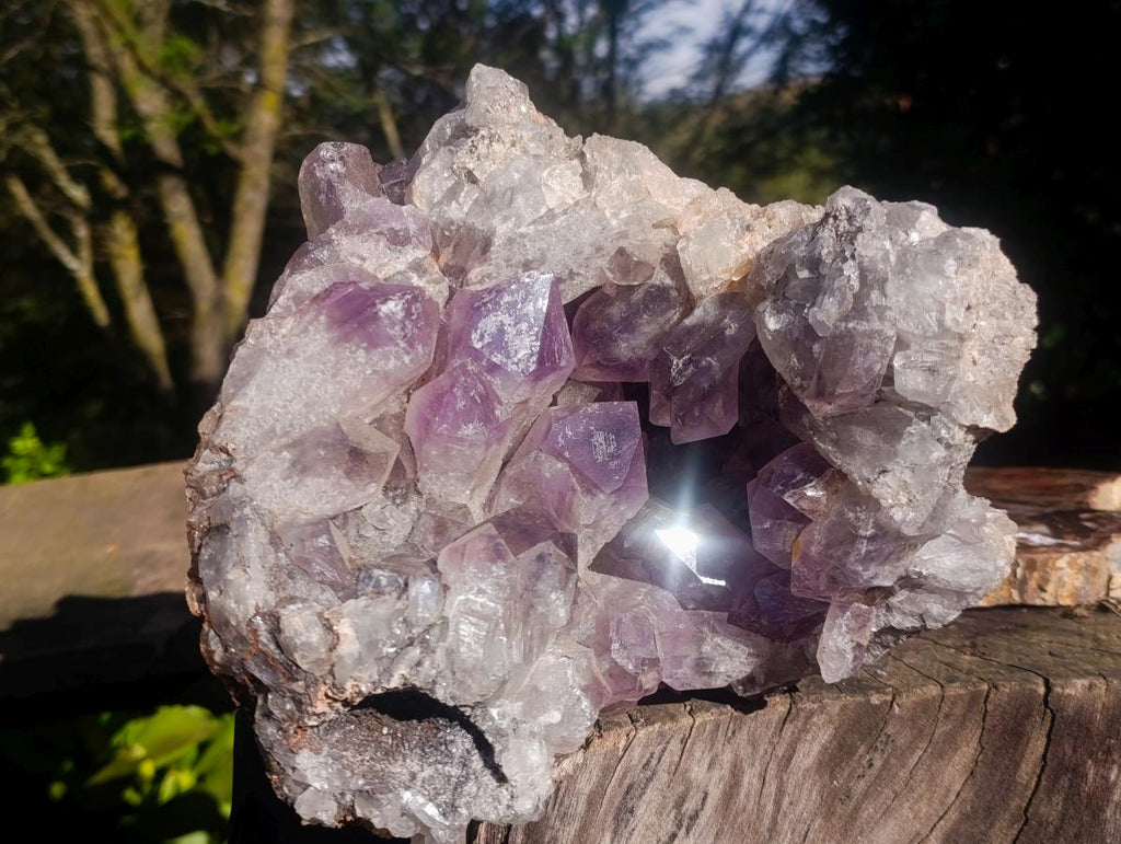 Natural Large Jacaranda Amethyst Geode x 1 From Mumbwa, Zambia - Toprock Gemstones and Minerals 