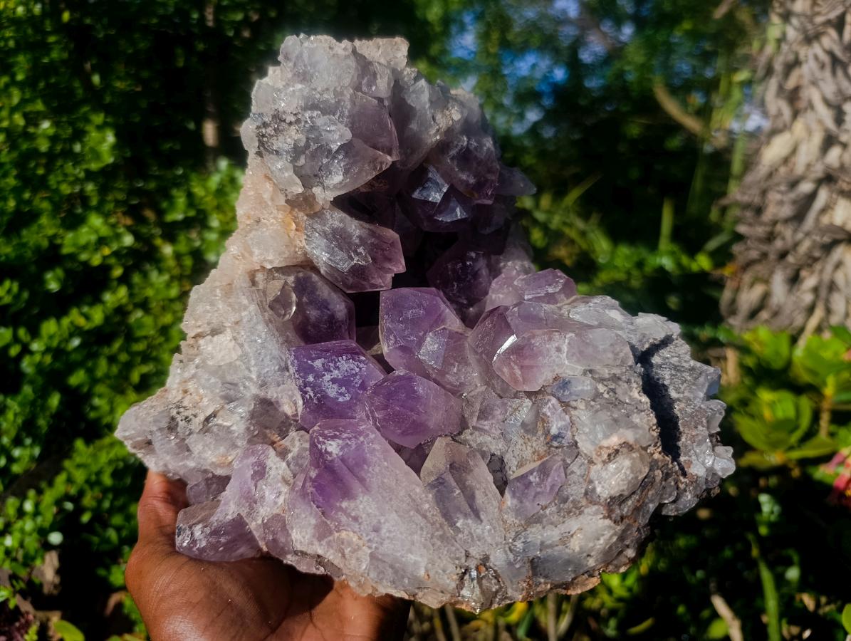 Natural Large Jacaranda Amethyst Geode x 1 From Mumbwa, Zambia - Toprock Gemstones and Minerals 
