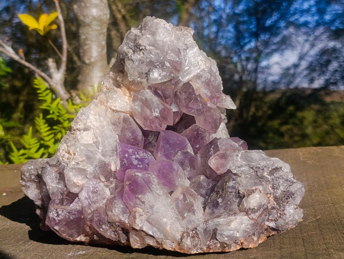 Natural Large Jacaranda Amethyst Geode x 1 From Mumbwa, Zambia - Toprock Gemstones and Minerals 