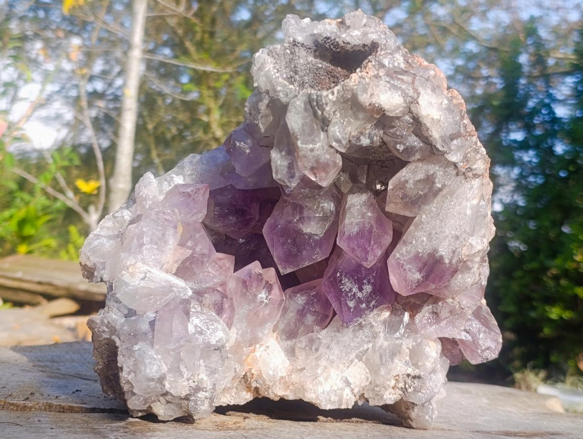 Natural Large Jacaranda Amethyst Geode x 1 From Mumbwa, Zambia - Toprock Gemstones and Minerals 