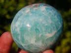 Polished Amazonite Palm Stones x 12 From Madagascar - Toprock Gemstones and Minerals 