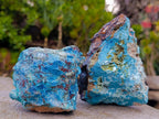 Natural Rough Shattuckite Specimens x 4 From Kaokoveld, Namibia - Toprock Gemstones and Minerals 