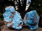Natural Rough Shattuckite Specimens x 4 From Kaokoveld, Namibia - Toprock Gemstones and Minerals 