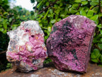 Natural Cabinet Drusy Salrose Cobaltoan Dolomite Specimens x 12 From Kakanda, Congo - Toprock Gemstones and Minerals 