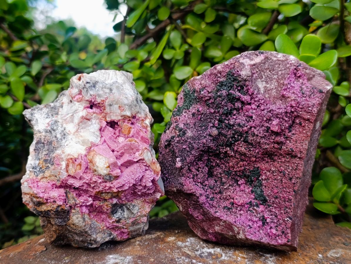 Natural Cabinet Drusy Salrose Cobaltoan Dolomite Specimens x 12 From Kakanda, Congo - Toprock Gemstones and Minerals 