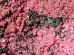 Natural Cabinet Drusy Salrose Cobaltoan Dolomite Specimens x 12 From Kakanda, Congo - Toprock Gemstones and Minerals 