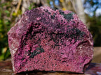 Natural Cabinet Drusy Salrose Cobaltoan Dolomite Specimens x 12 From Kakanda, Congo - Toprock Gemstones and Minerals 