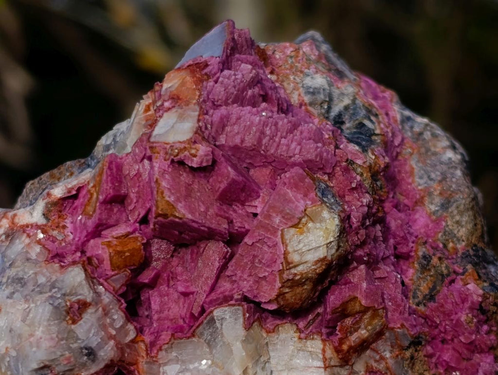 Natural Cabinet Drusy Salrose Cobaltoan Dolomite Specimens x 12 From Kakanda, Congo - Toprock Gemstones and Minerals 