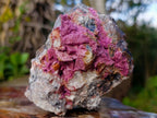 Natural Cabinet Drusy Salrose Cobaltoan Dolomite Specimens x 12 From Kakanda, Congo - Toprock Gemstones and Minerals 