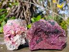 Natural Cabinet Drusy Salrose Cobaltoan Dolomite Specimens x 12 From Kakanda, Congo - Toprock Gemstones and Minerals 