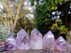 Polished Window Amethyst Crystals x 20 From Akansobe, Madagascar - Toprock Gemstones and Minerals 