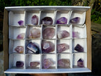Polished Window Amethyst Crystals x 20 From Akansobe, Madagascar - Toprock Gemstones and Minerals 