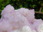 Natural Large Spirit Amethyst Cluster x 1 From Boekenhouthoek, South Africa - Toprock Gemstones and Minerals 
