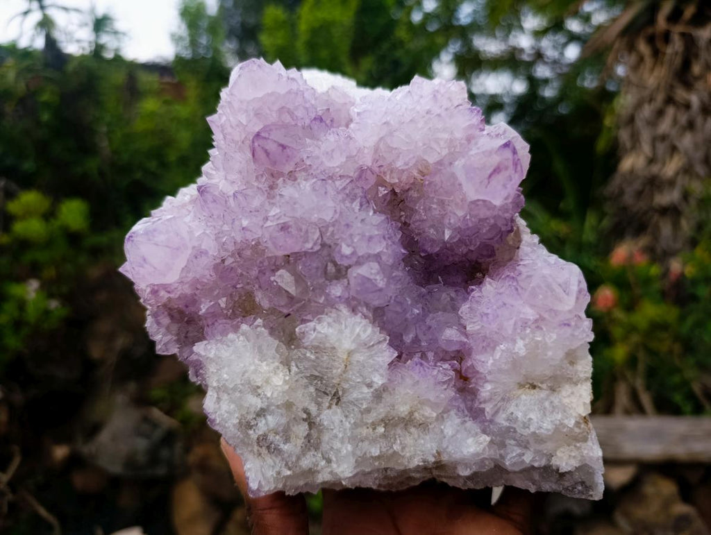 Natural Large Spirit Amethyst Cluster x 1 From Boekenhouthoek, South Africa - Toprock Gemstones and Minerals 