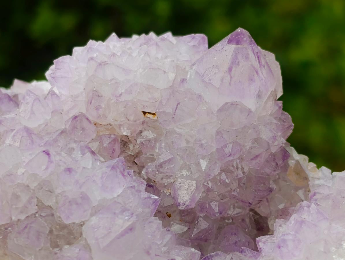 Natural Large Spirit Amethyst Cluster x 1 From Boekenhouthoek, South Africa - Toprock Gemstones and Minerals 