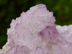 Natural Large Spirit Amethyst Cluster x 1 From Boekenhouthoek, South Africa - Toprock Gemstones and Minerals 