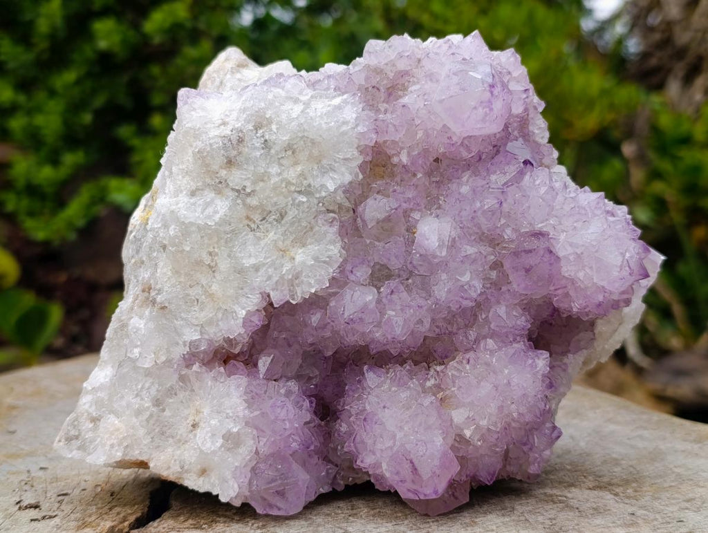Natural Large Spirit Amethyst Cluster x 1 From Boekenhouthoek, South Africa - Toprock Gemstones and Minerals 