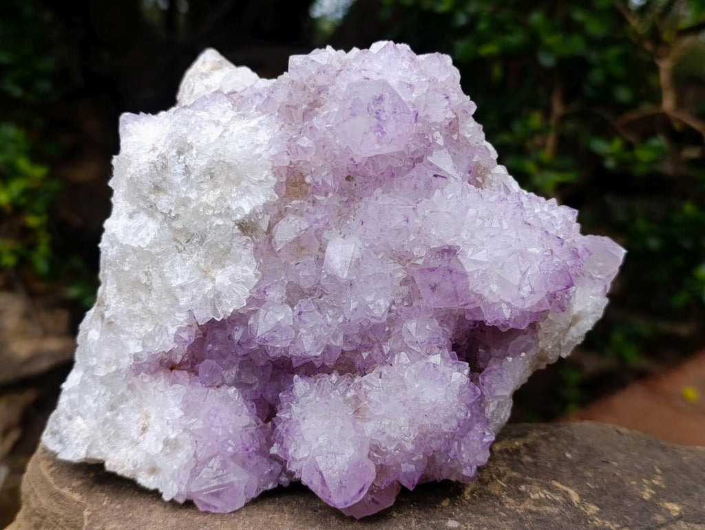 Natural Large Spirit Amethyst Cluster x 1 From Boekenhouthoek, South Africa - Toprock Gemstones and Minerals 