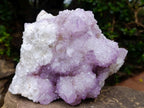 Natural Large Spirit Amethyst Cluster x 1 From Boekenhouthoek, South Africa - Toprock Gemstones and Minerals 