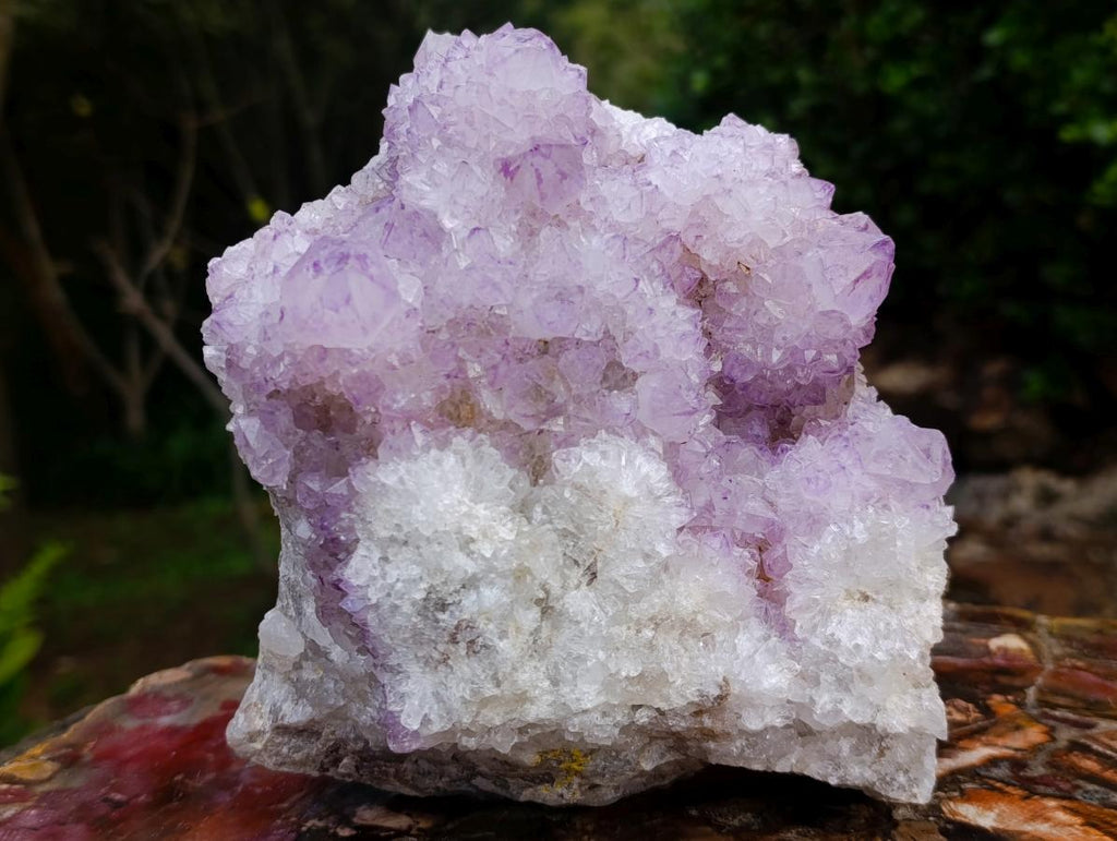 Natural Large Spirit Amethyst Cluster x 1 From Boekenhouthoek, South Africa - Toprock Gemstones and Minerals 