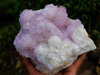 Natural Large Spirit Amethyst Cluster x 1 From Boekenhouthoek, South Africa - Toprock Gemstones and Minerals 