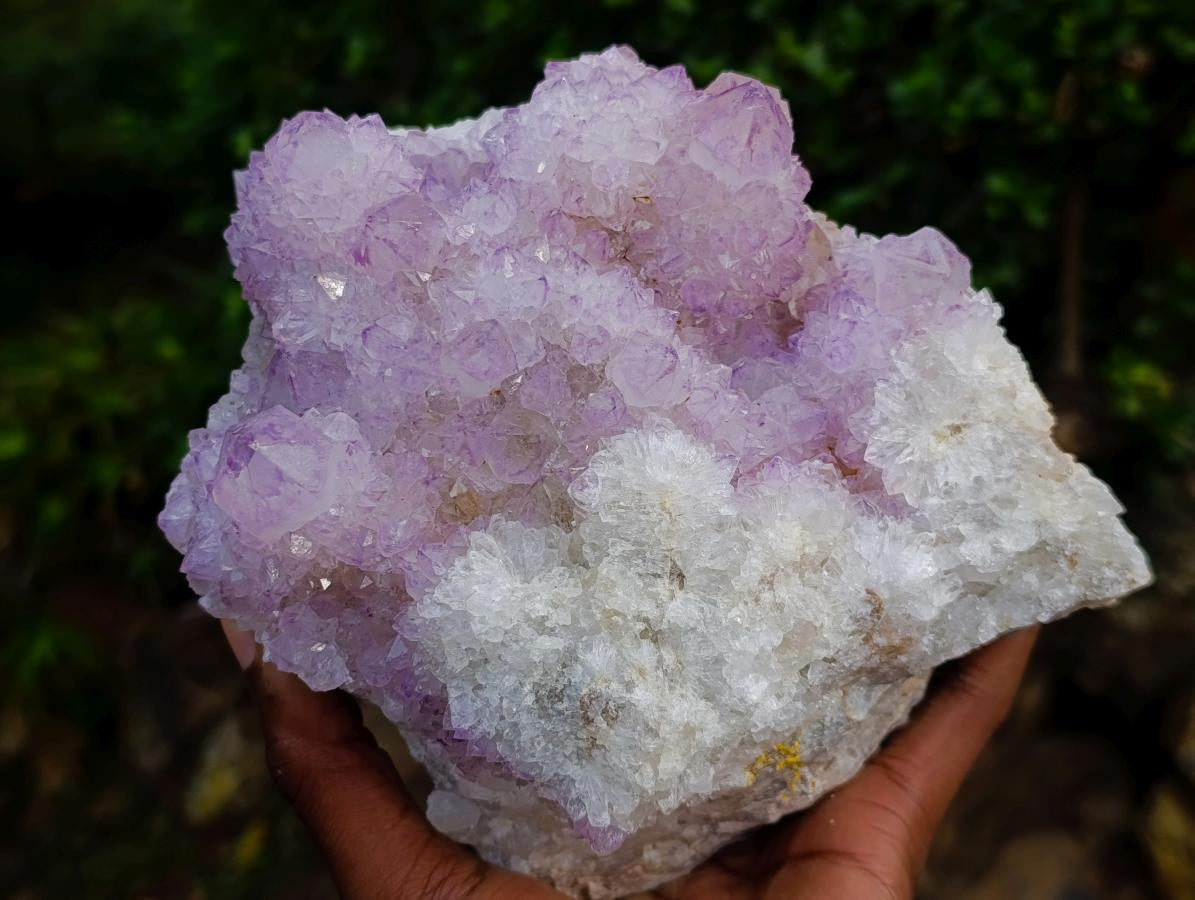 Natural Large Spirit Amethyst Cluster x 1 From Boekenhouthoek, South Africa - Toprock Gemstones and Minerals 